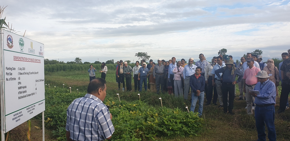 On-farm demonstration of Heat stress resilient hybrids during HTMA Field Day Nepal